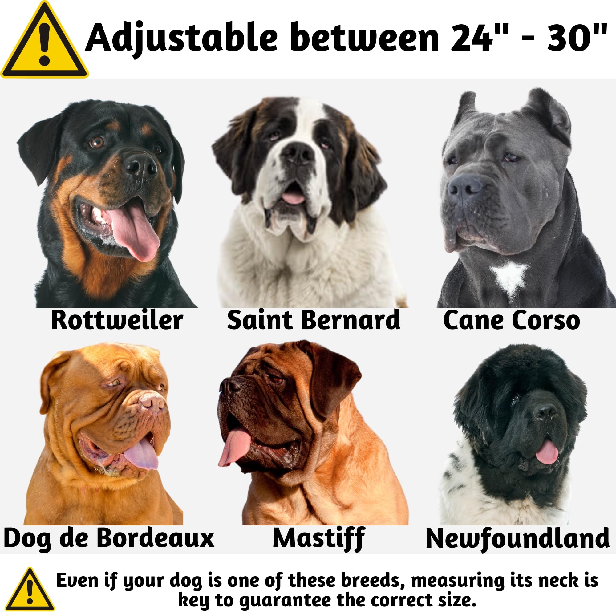 Adityna Heavy Duty Dog Collar For Extra-Large Dogs - Reflective Magenta Collar With Handle For Training, And Walking - Wide, Thi